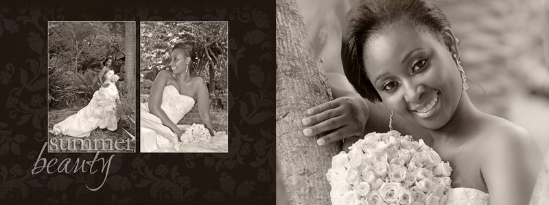 Pierre Bassani absolute Productions wedding Photographer